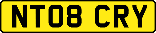 NT08CRY