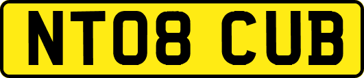 NT08CUB