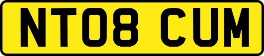 NT08CUM