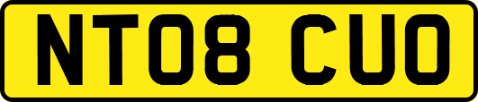 NT08CUO