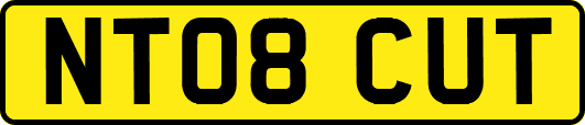 NT08CUT