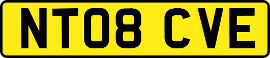 NT08CVE
