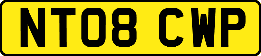 NT08CWP