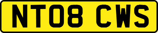 NT08CWS