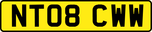 NT08CWW