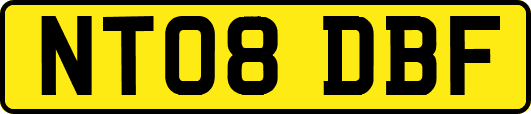 NT08DBF