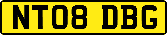 NT08DBG