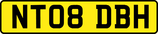 NT08DBH