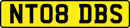 NT08DBS