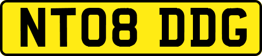 NT08DDG
