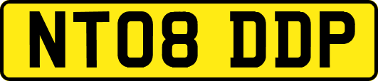 NT08DDP