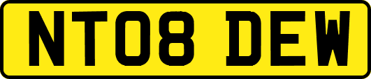 NT08DEW