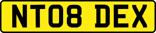 NT08DEX