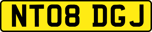 NT08DGJ