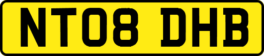 NT08DHB
