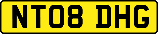 NT08DHG
