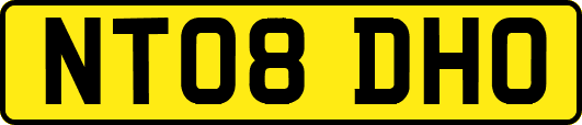 NT08DHO