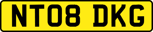NT08DKG