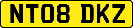 NT08DKZ