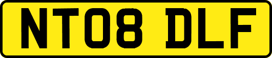 NT08DLF