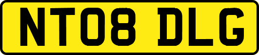NT08DLG