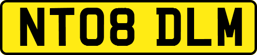 NT08DLM