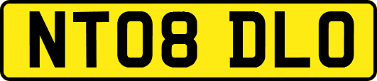 NT08DLO