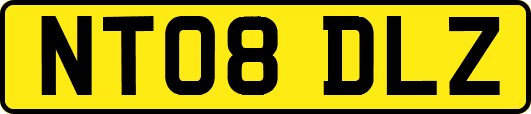 NT08DLZ