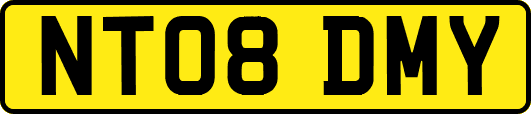NT08DMY