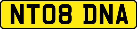 NT08DNA
