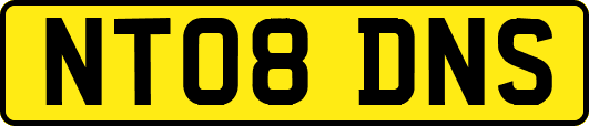 NT08DNS