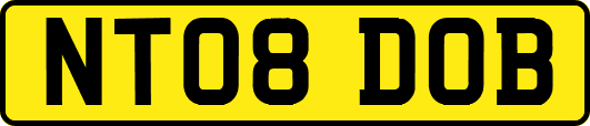 NT08DOB