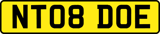 NT08DOE