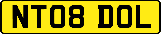 NT08DOL