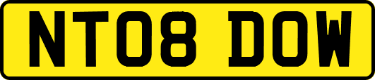 NT08DOW