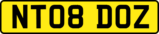 NT08DOZ