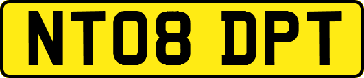 NT08DPT