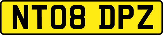 NT08DPZ