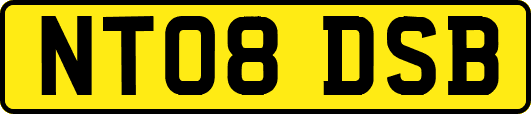NT08DSB