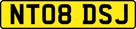 NT08DSJ