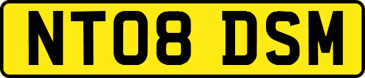 NT08DSM