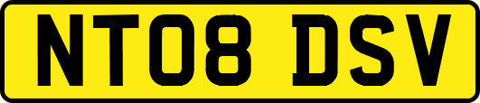 NT08DSV