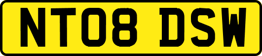 NT08DSW