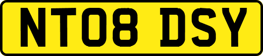 NT08DSY