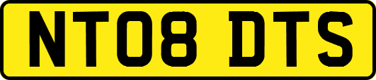 NT08DTS