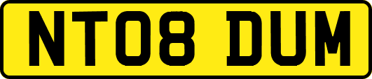 NT08DUM