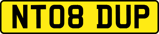 NT08DUP