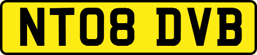 NT08DVB