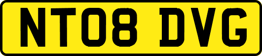 NT08DVG