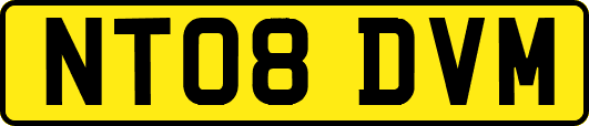 NT08DVM